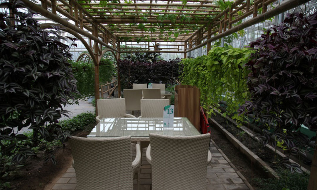 酉阳康柏宇品牌文案撰写案例